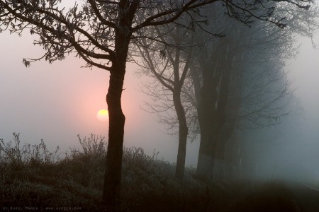 Foggy sunset in Olt Romania 02