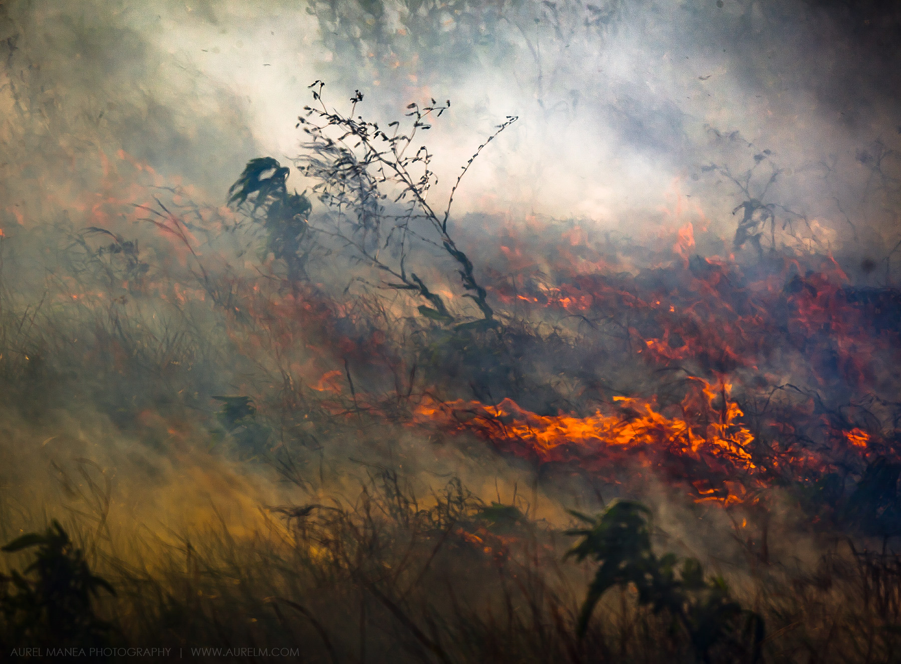 Gallery Bush fire 01