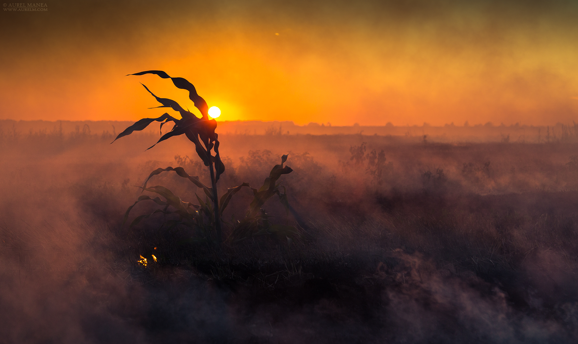 Gallery Bush fire 05