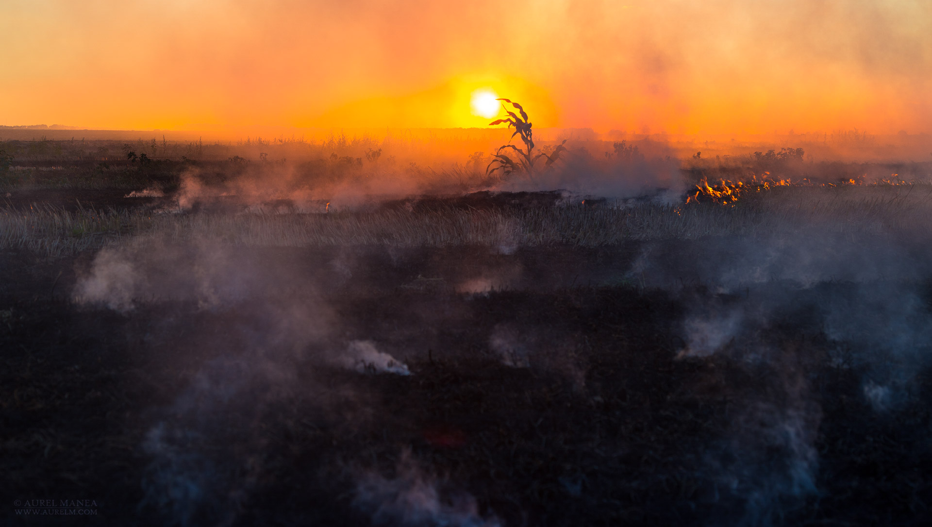 Gallery Bush fire 06