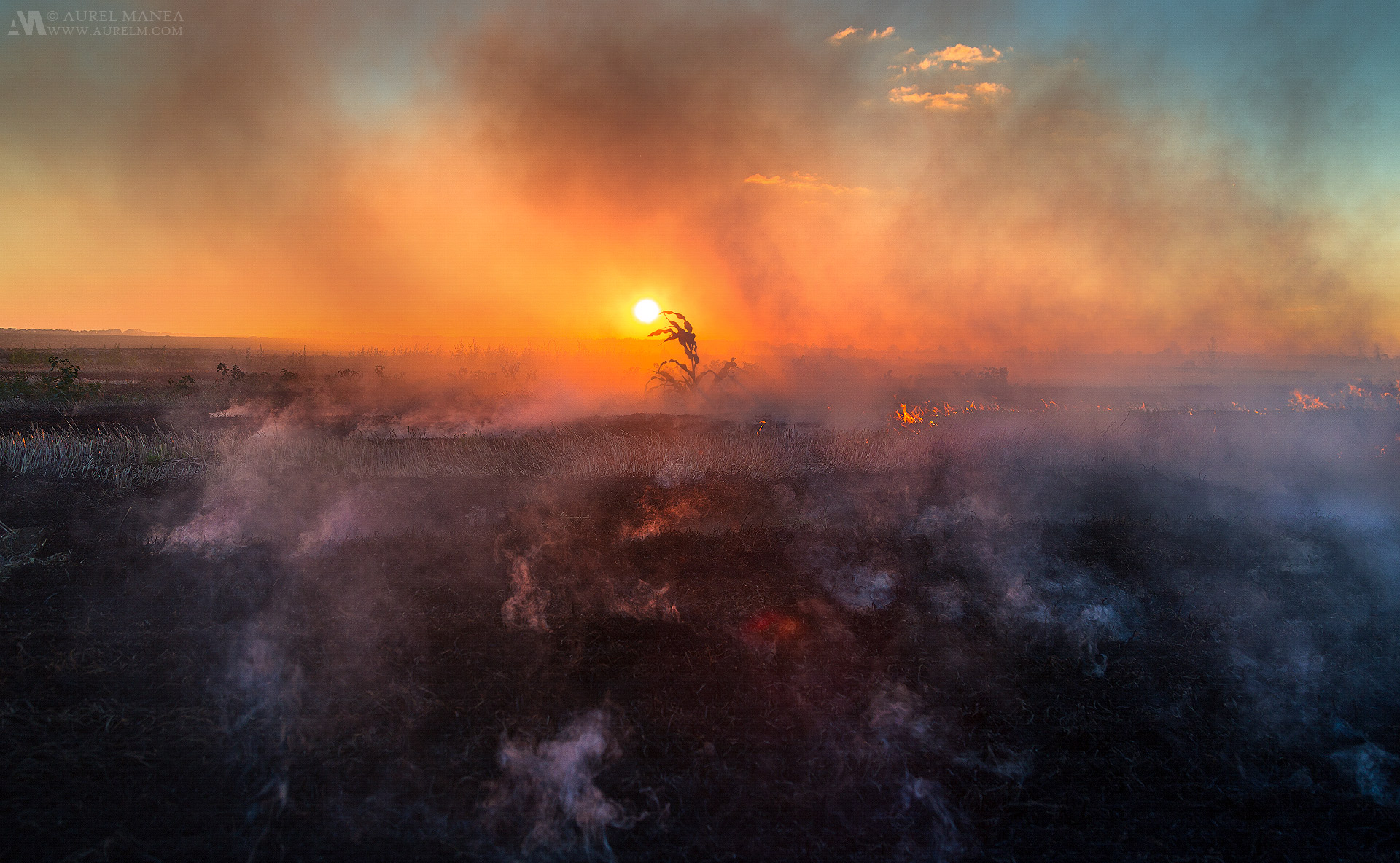 Gallery Bush fire 07