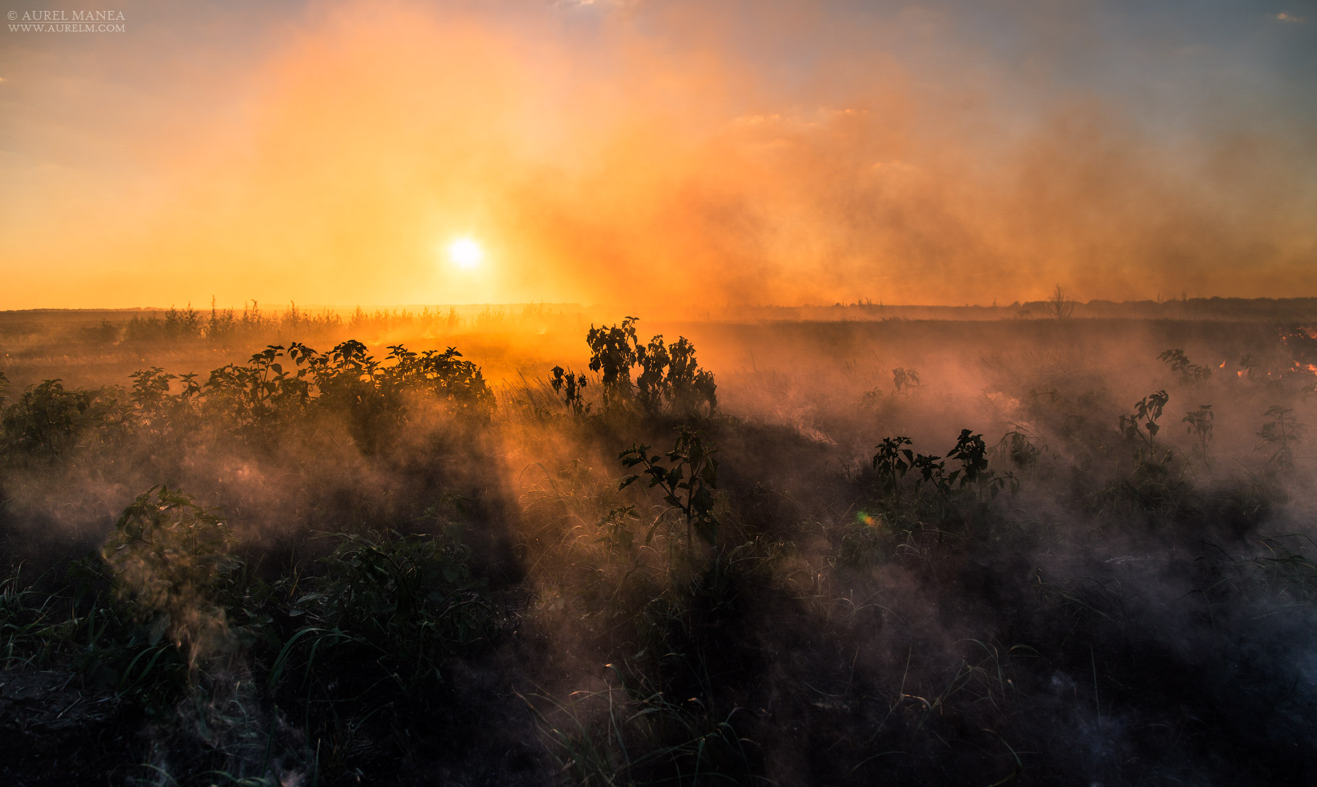 Gallery Bush fire 10