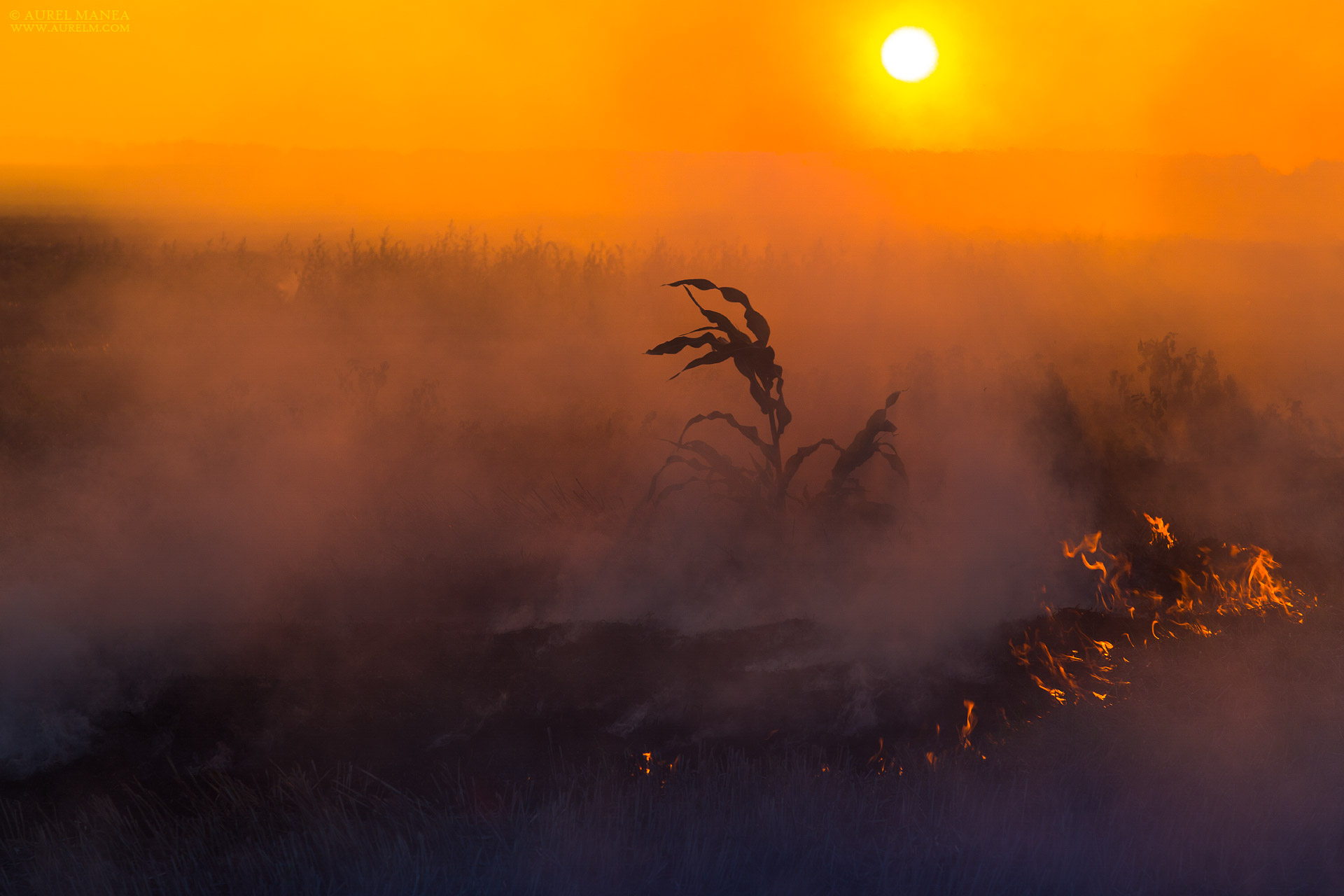 Gallery Bush fire 12