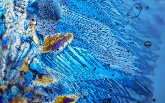 Gallery Ice crystals under polarized light microscope 02