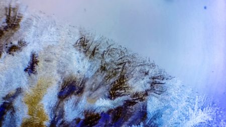 Gallery Ice crystals under polarized light microscope 10