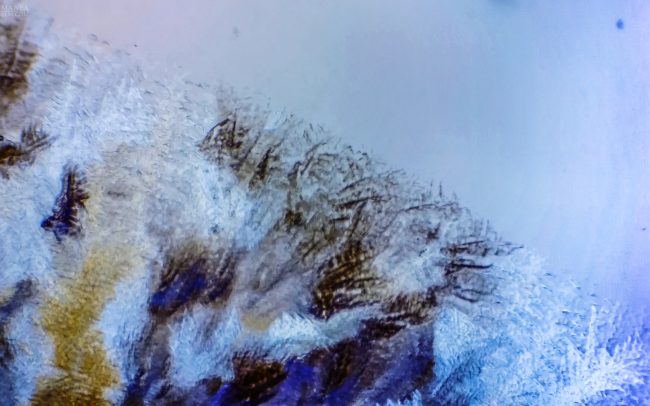 Gallery Ice crystals under polarized light microscope 10