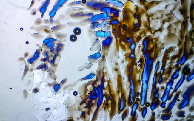 Gallery Ice crystals under polarized light microscope 14