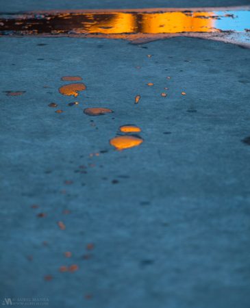 Gallery Reflections on puddle 01