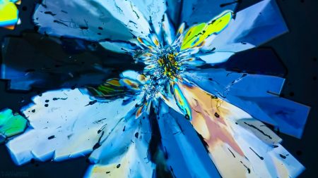 Gallery Sugar crystals under polarized light microscope 01