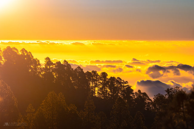 Gallery Tenerife over the clouds sunrise 01