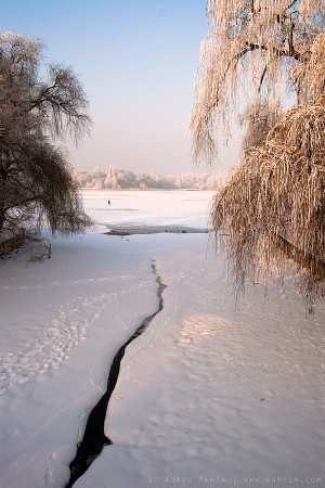 Herastrau park in winter 02