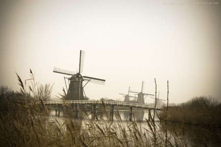 Kinderdijk windmills 03