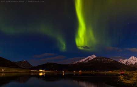 Northern lights in Lofoten 05