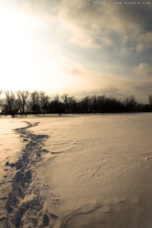 Tineretului park in winter 02