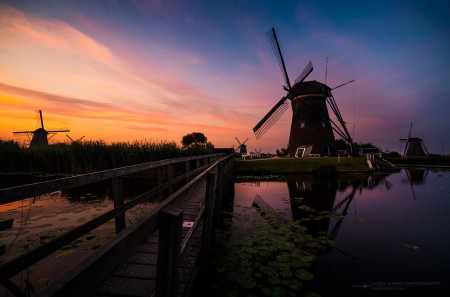 Windmills in Kinderdijk Netherlands 04