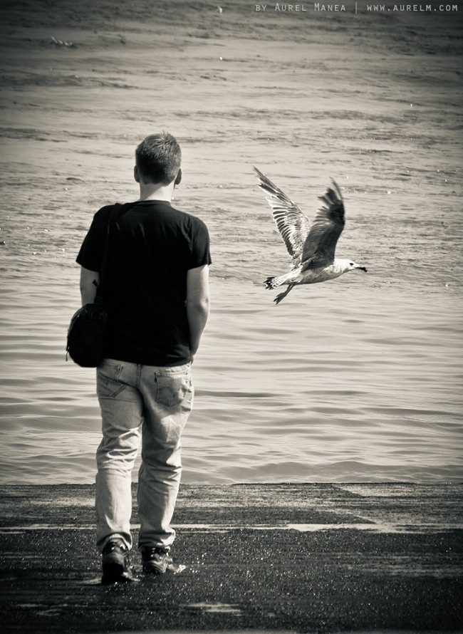 dream of flying