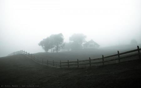 foggy farm 01