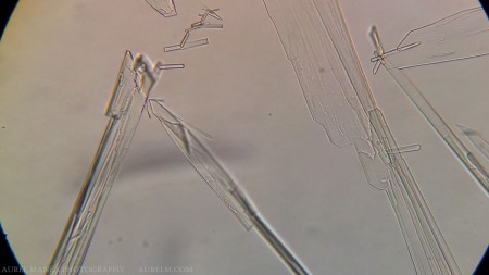 ketamine crystals under microscope with DIY adapter 01