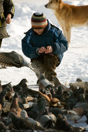 kid feeding pigeons in parcul tineretului
