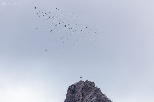 Gallery Dolomites Peak Cross 01