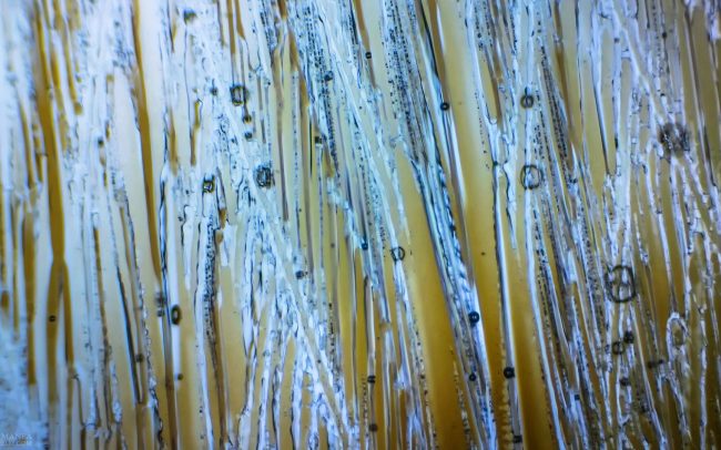 Gallery Ice crystals under polarized light microscope 12
