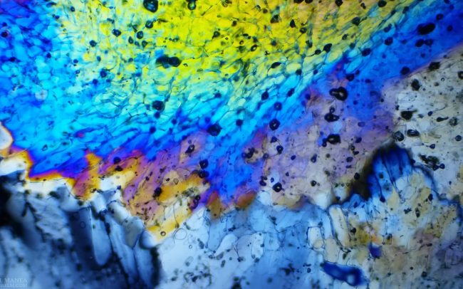 Gallery Ice crystals under polarized light microscope 18