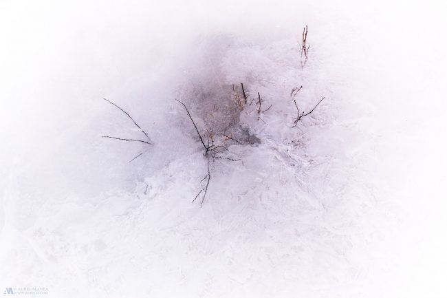 Gallery Minimalism 91