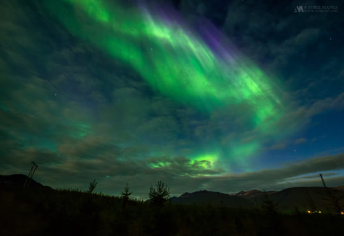 Gallery Northern lights in Iceland 01