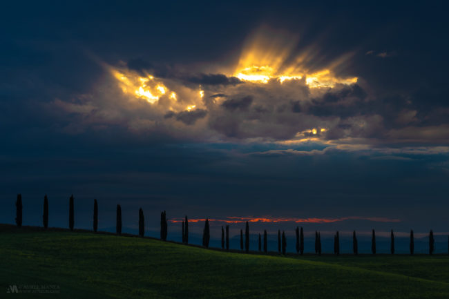 Gallery Tuscany pine trees with god rays 01
