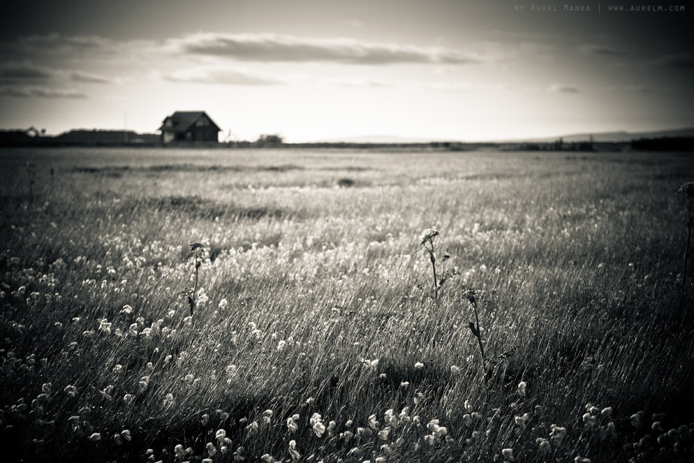 icelandic fields black and whote 02