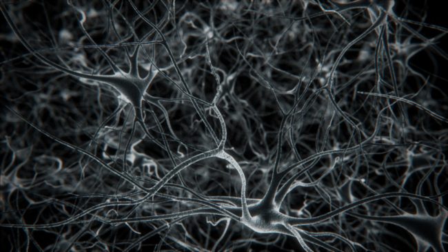 parallax neurons 01